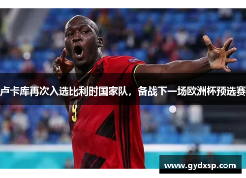 卢卡库再次入选比利时国家队，备战下一场欧洲杯预选赛