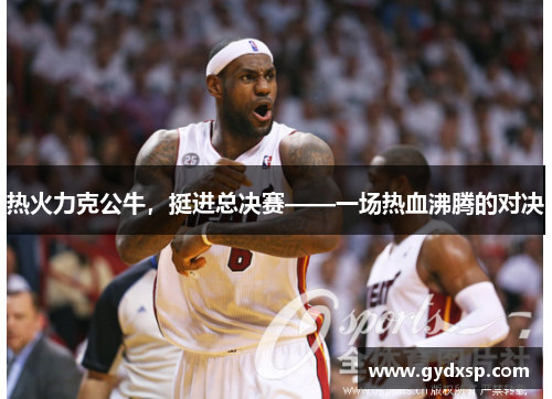 热火力克公牛，挺进总决赛——一场热血沸腾的对决