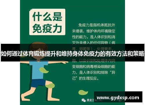 如何通过体育锻炼提升和维持身体免疫力的有效方法和策略