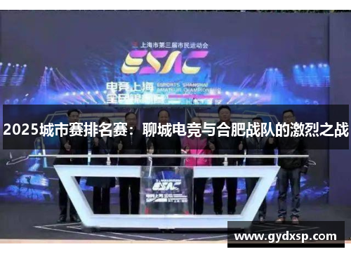2025城市赛排名赛：聊城电竞与合肥战队的激烈之战