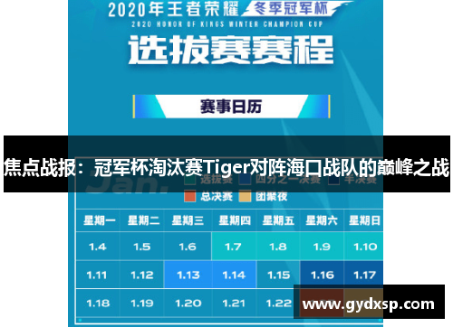 焦点战报：冠军杯淘汰赛Tiger对阵海口战队的巅峰之战