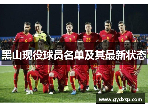黑山现役球员名单及其最新状态