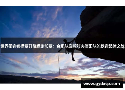 世界攀岩锦标赛升降级附加赛：合肥队巅峰对决信阳队的跌宕起伏之战